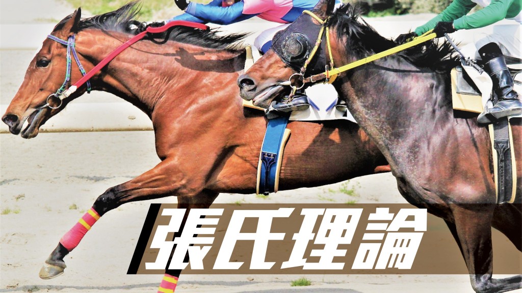 張福元 - 回歸賽日 馬會行運｜張氏理論
