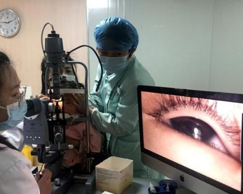 在裂隙燈下仔細查看,發現甜甜的雙眼局部紅腫明顯,發現長滿陰蝨。(網圖)