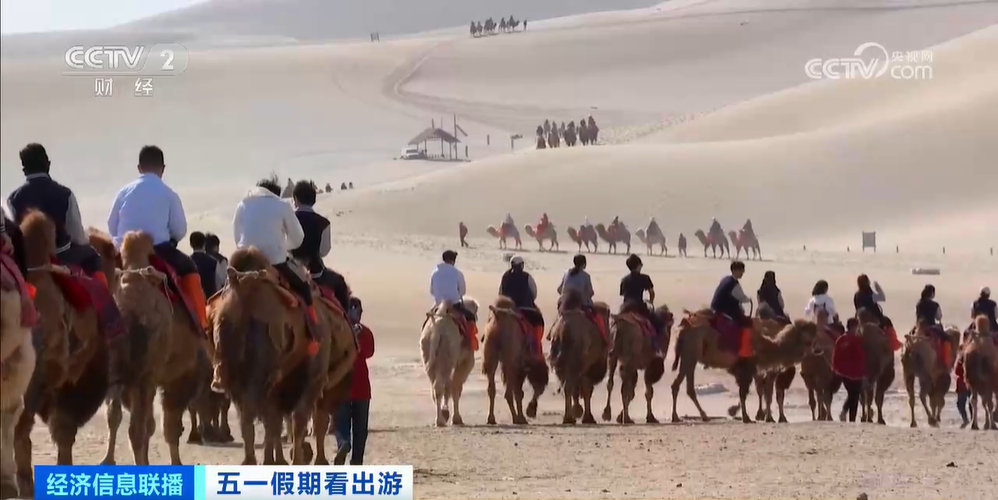 连绵不断的骆驼队。(央视画面截图)
