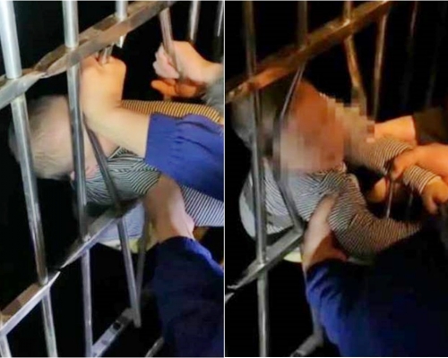 合肥一名男童不慎墮落左樓下的防盜窗上,幸好鄰居及時察覺。網圖