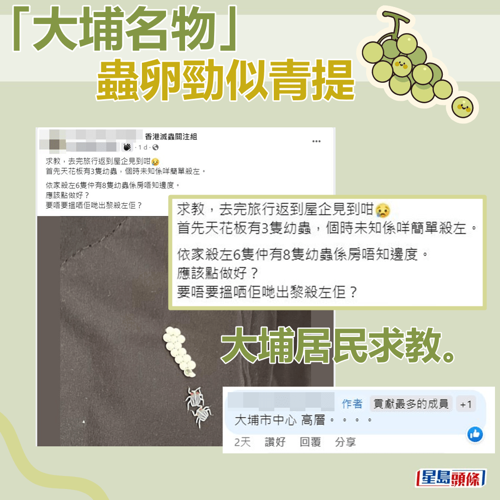 大埔居民求教。fb「香港灭虫关注组」截图