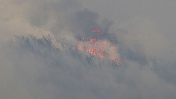 土耳其西南部山火焚燒3天後受控。AP圖片