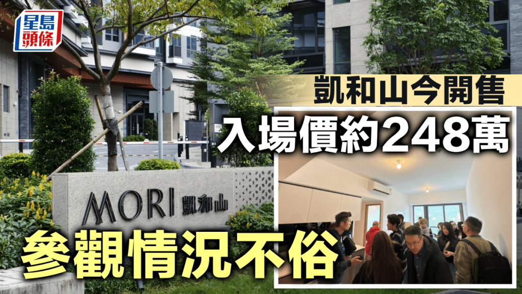 凱和山今開售 入場價約248萬 參觀情況不俗