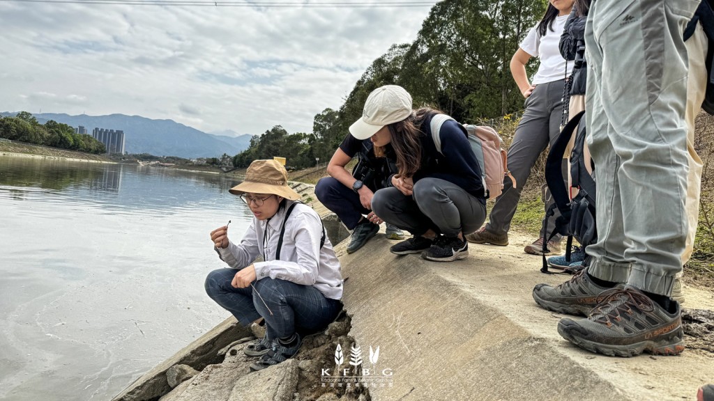 調查團隊發現水獺排泄物。嘉道理農場及植物園facebook圖片