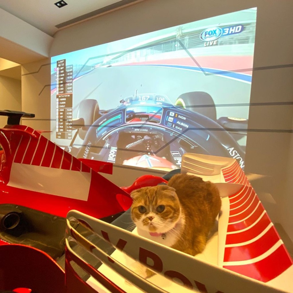 F1法拉利赛车展品旁边又有投影机。