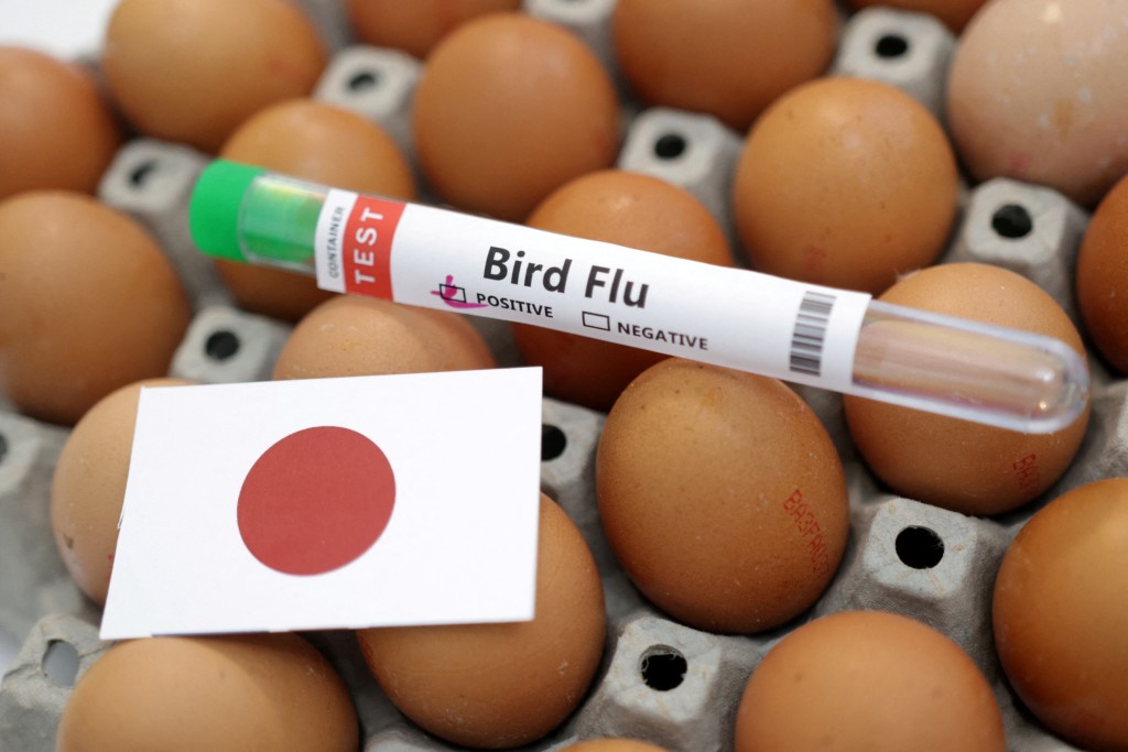 日本爆发史上最严重禽流感。 路透