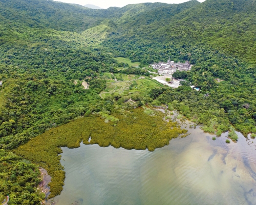 ■鄉郊辦正修築長約一公里的村路，將三個具有保育價植的鄉村荔枝窩、梅子林和蛤塘打通起來。