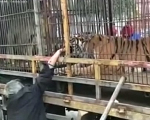 老伯右手兩根手指被咬斷。