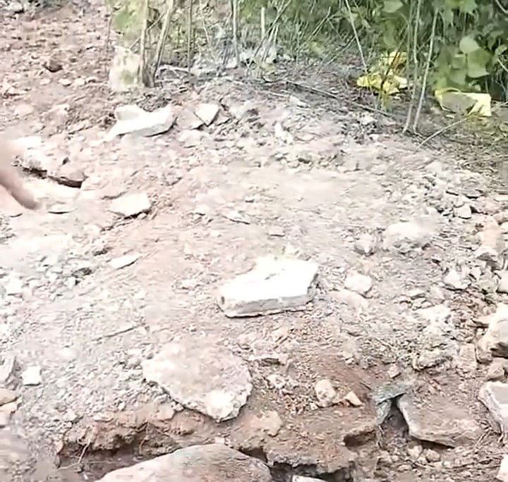 涉事墓地现状。微博