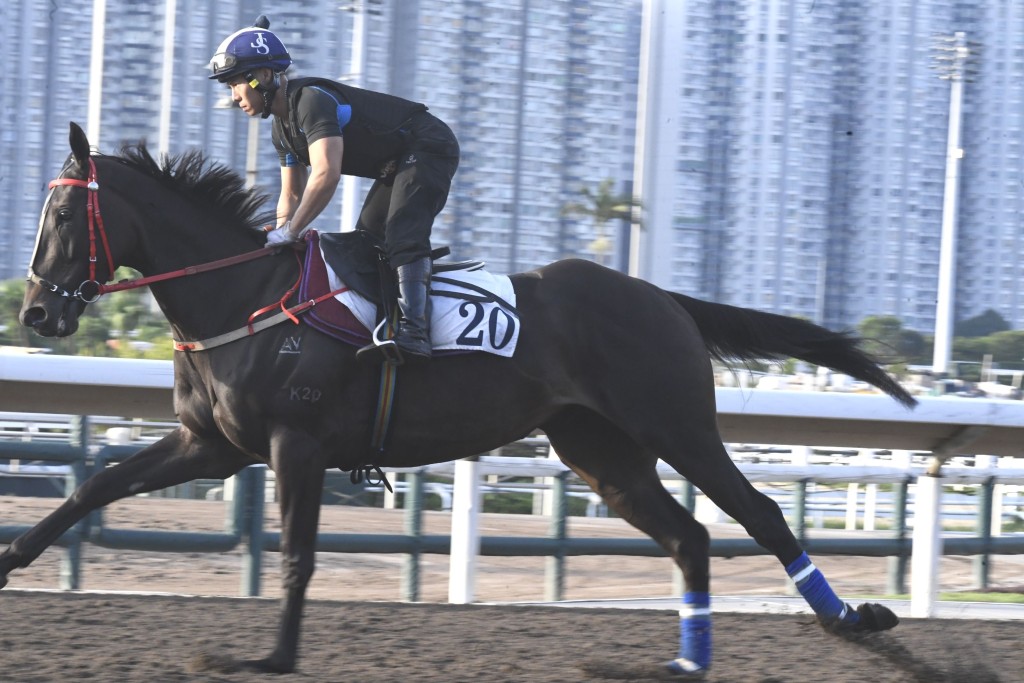 「有目共賞」 跳來例牌急口緊韁鎖實，神色甚佳，力度持續增強。(資料圖片)