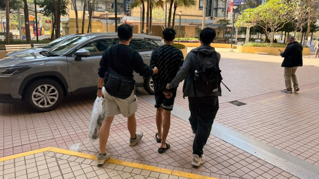 青衣大王下村女子內衣褲及襪被盜 警查天眼閃電拘21歲男。警方圖片