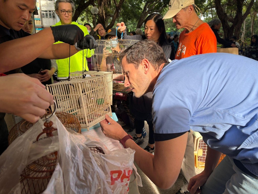 受影響寵物的總數為339隻。愛協提供圖片