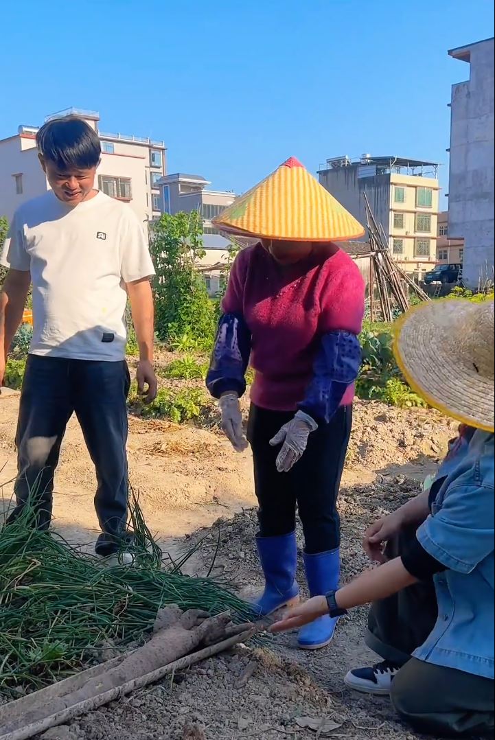 广东揭阳有人挖出外形酷似人类手掌的淮山，成为当地热话。抖音