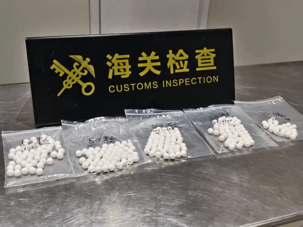 雙殼綱簾蛤目硨磲科製品共搜出224粒。