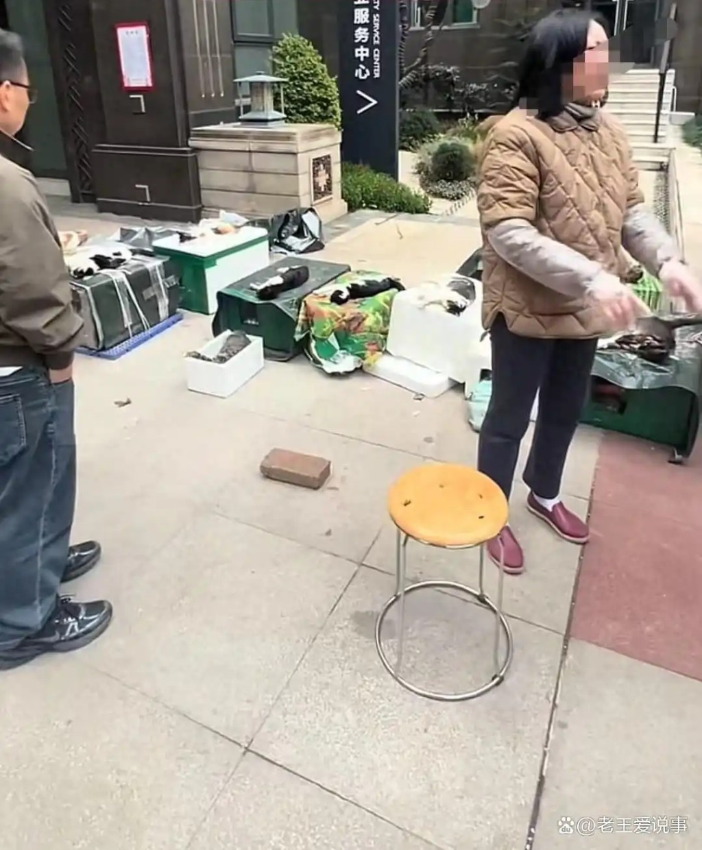 居民在屋苑綠化帶及牆角等地，陸續發現十多隻流浪貓屍體。