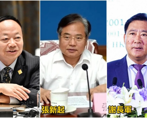 彭波、張新起、謝長軍均被開除黨籍。資料圖片