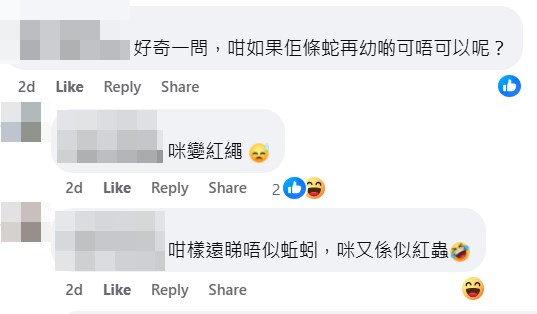 網民：咁樣遠睇唔似蚯蚓，咪又係似紅蟲。fb「美容界黑店大全 2.0 可以匿名開post版」截圖