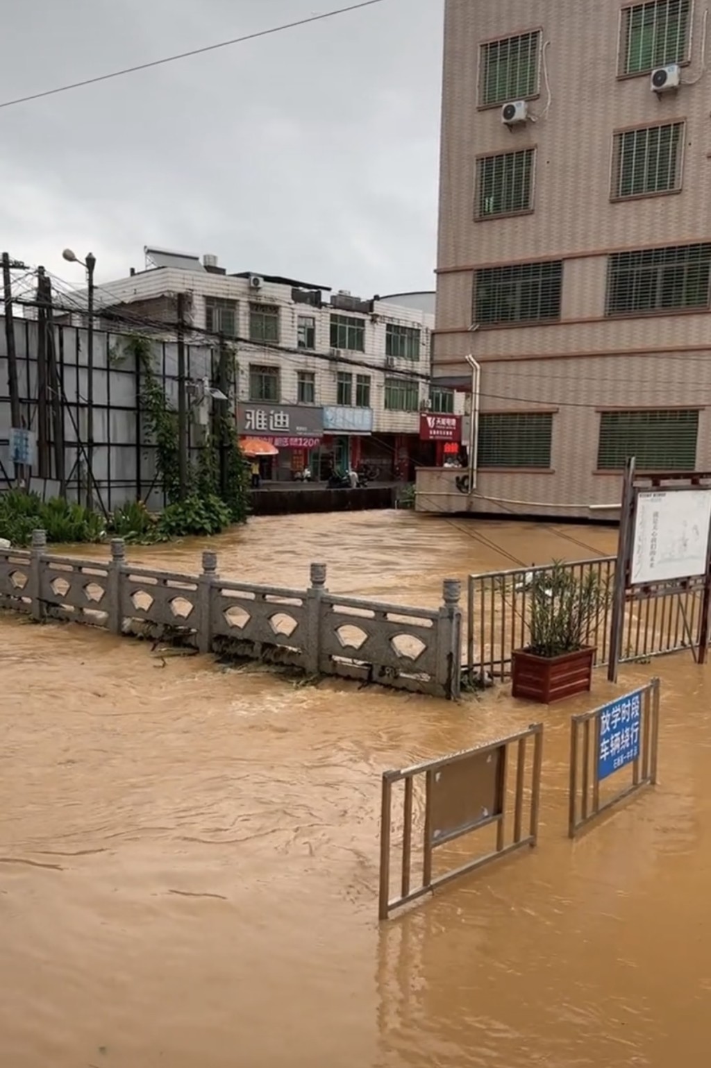 高州街道被洪水淹沒。抖音@高州李才 高州街道被洪水淹沒。抖音@高州李才