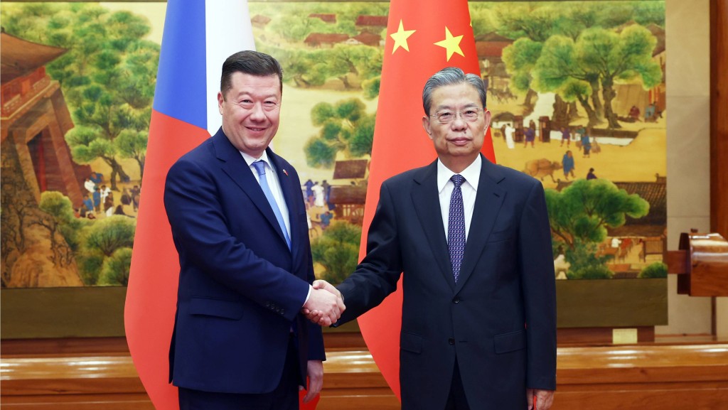 7月23日，全国人大常委会委员长赵乐际在北京人民大会堂同捷克众议长冈村富夫举行会谈。新华社