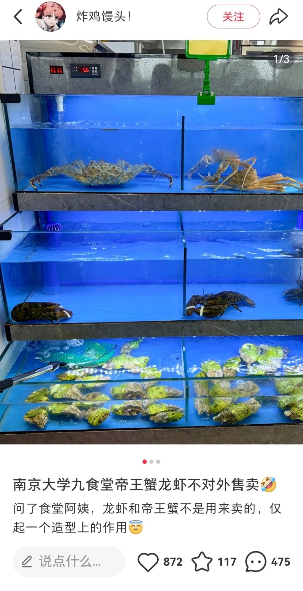 南京大學食堂提供999元人民幣的帝王蟹引起爭議。小紅書@猴猴 南京大學食堂提供999元人民幣的帝王蟹引起爭議。小紅書@猴猴