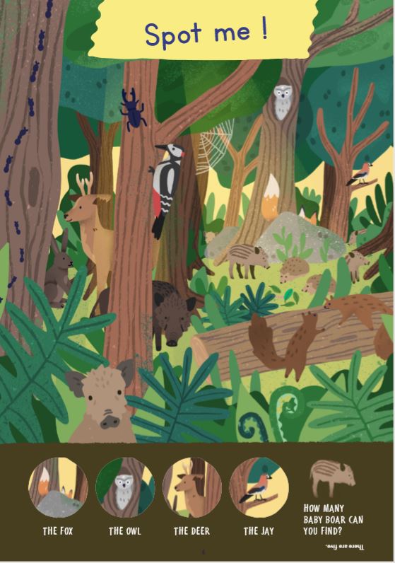 故事内容以大自然环境为主题，设有益智小游戏及填色图案等。