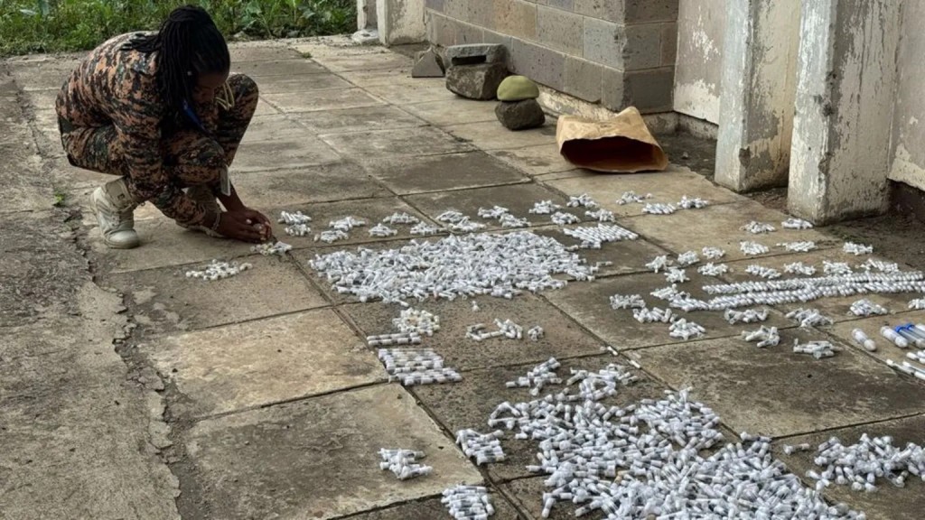 肯亞於2025年4月檢獲5000隻走私蟻。 肯亞野生動物服務署