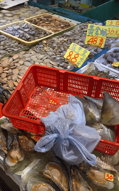 近少少睇，沙插睇落幾大隻。（圖片來源：「香港街市魚類海鮮研究社」）