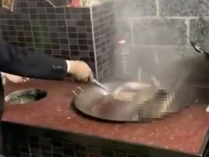 網傳內地大叔煮狗肉,過程令人慘不忍睹。(網圖)