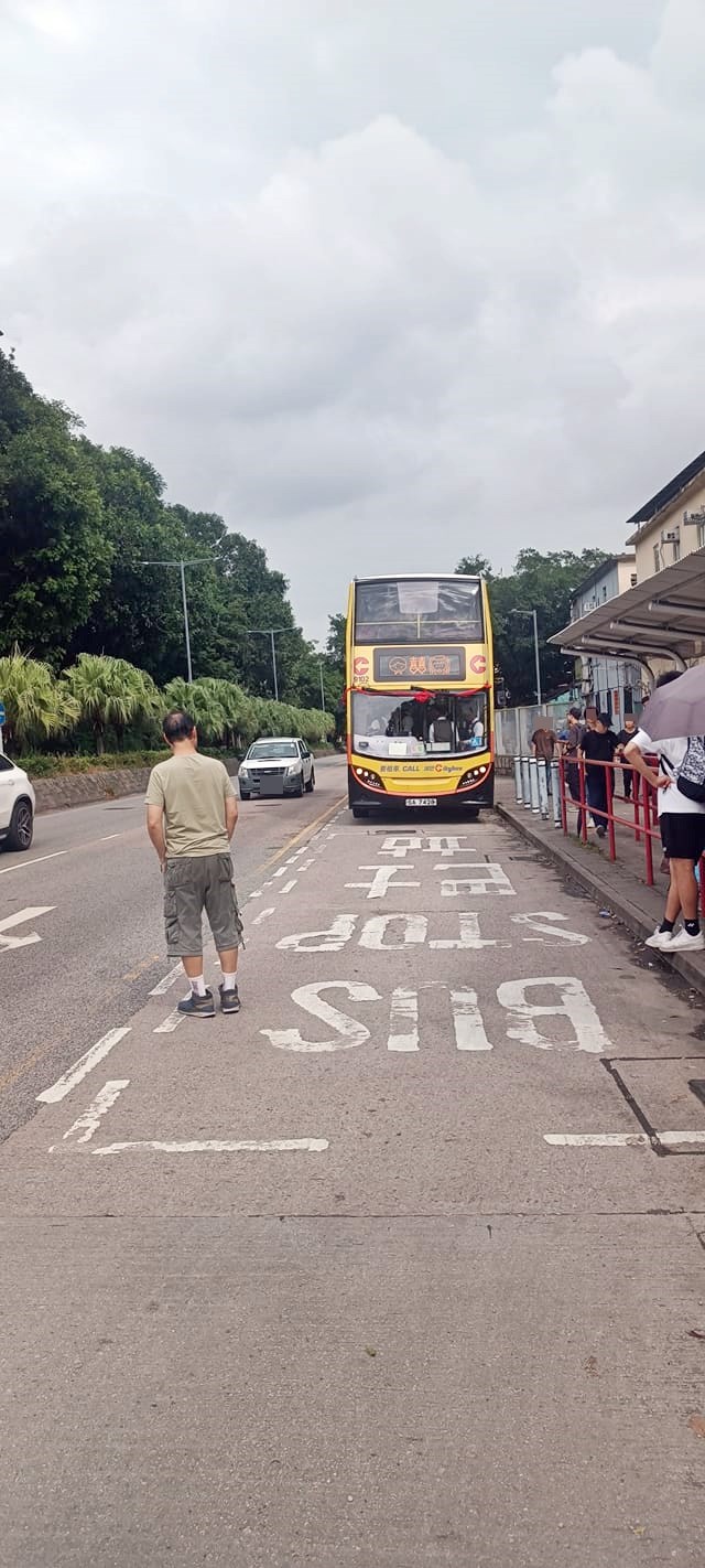 不少網民都見到巴士花車的真身。fb「皇后山乜都友」截圖