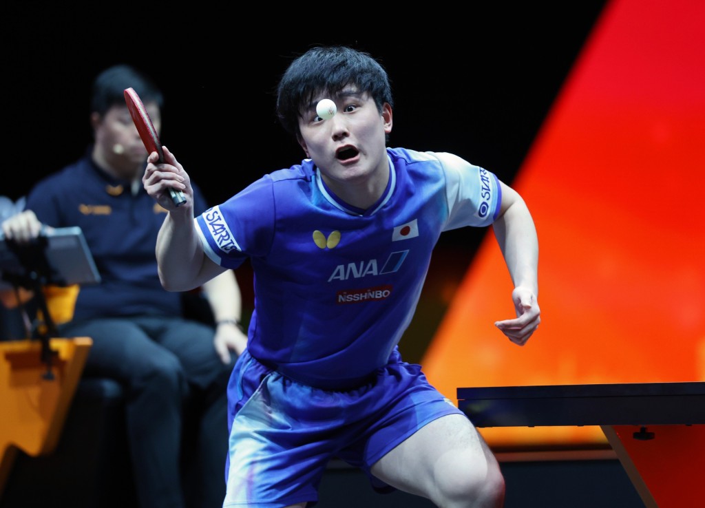 張本智和在場內也有不少粉絲幫他加油。徐嘉華攝 張本智和在場內也有不少粉絲幫他加油。徐嘉華攝