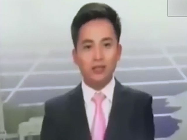 蜜蜂未來襲前，本來臉帶笑容對著鏡頭報道新聞的男主播。 網上圖片