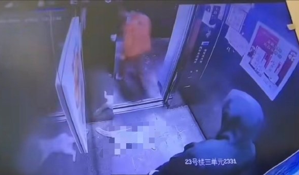 河南冷血母子升降机狂踩流浪猫致死，闭路电视揭恶行。