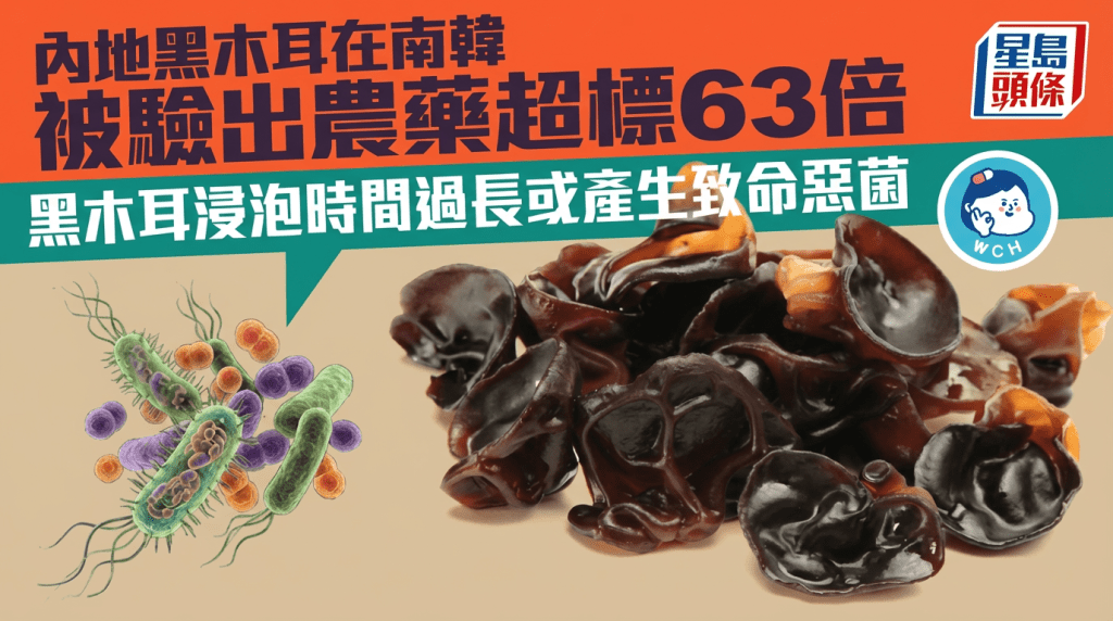 內地黑木耳在韓被驗出農藥超標63倍緊急回收 黑木耳浸泡時間過長或產生致命惡菌