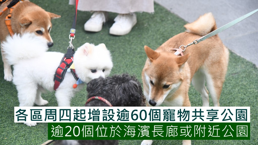 康文署將增設超過60個「寵物共享公園」。資料圖片