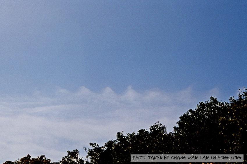 浪形雲。天文台網頁截圖