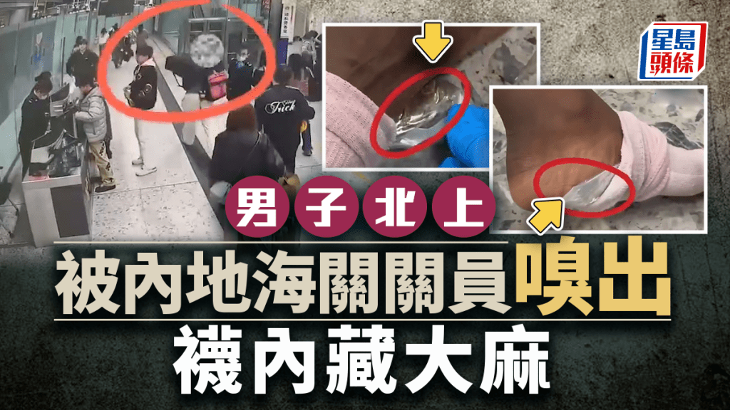西九龍站｜海關聞出刺鼻氣味  揭北上男雙腳襪內藏大麻