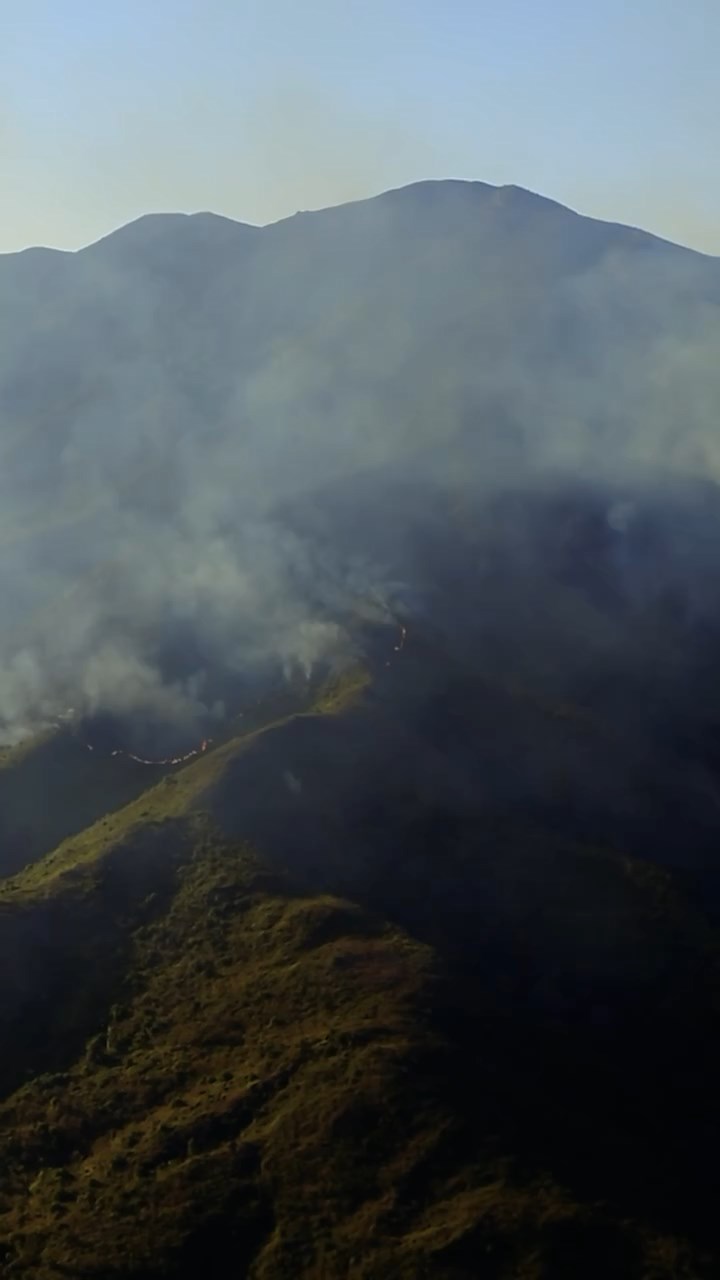 整個山頭煙霧瀰漫,大面積的叢林均已被燒焦。 整個山頭煙霧瀰漫,大面積的叢林均已被燒焦。