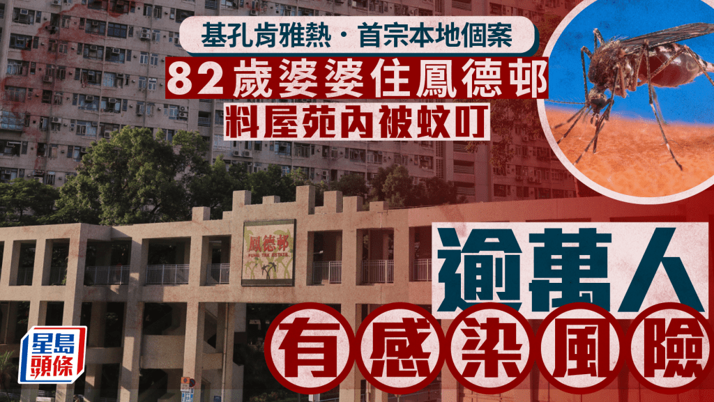 基孔肯雅熱.首宗本地個案︱82歲婆婆住鳳德邨 料屋苑內被蚊叮 逾萬人有感染風險