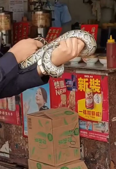 印傭將蛇拿在手上玩弄。網上片段截圖 印傭將蛇拿在手上玩弄。網上片段截圖