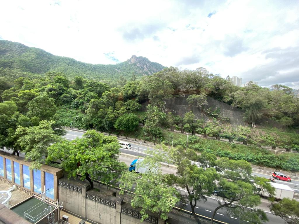 單位外望翠綠山景，景色怡人。
