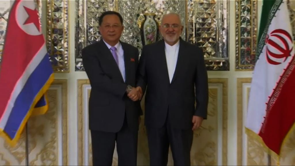 2018年，时任北韩外长李勇浩（左）曾访问伊朗。