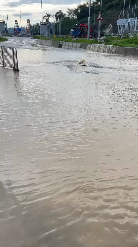觀塘茶果嶺道近海水抽水站有地底水管爆裂,大量黃泥水湧出。網上片段截圖 觀塘茶果嶺道近海水抽水站有地底水管爆裂,大量黃泥水湧出。網上片段截圖