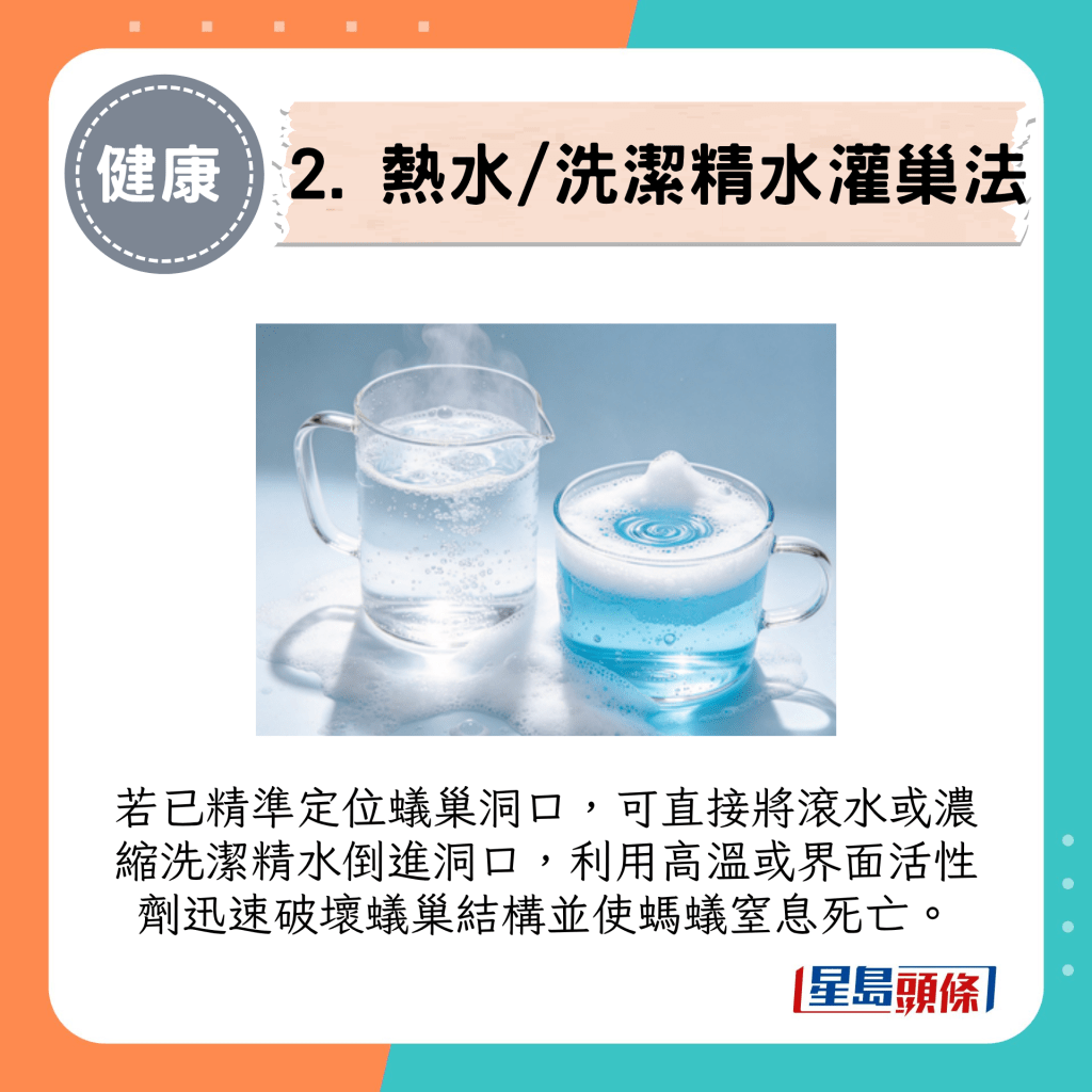 2. 热水/洗洁精水灌巢法