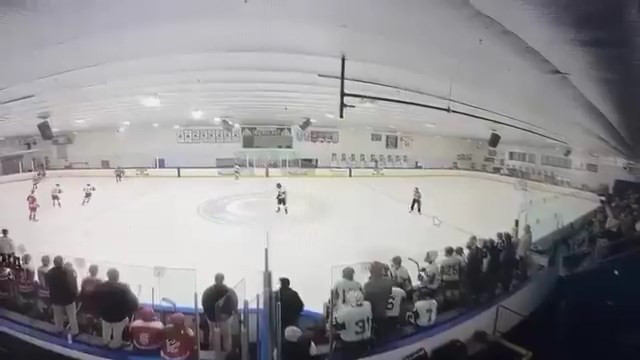 現場球員和觀眾紛紛走避。 現場球員和觀眾紛紛走避。