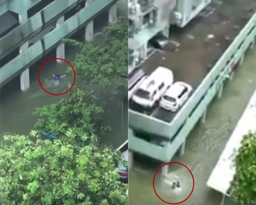 男子急流游水救人，網民激讚真英雄。影片截圖