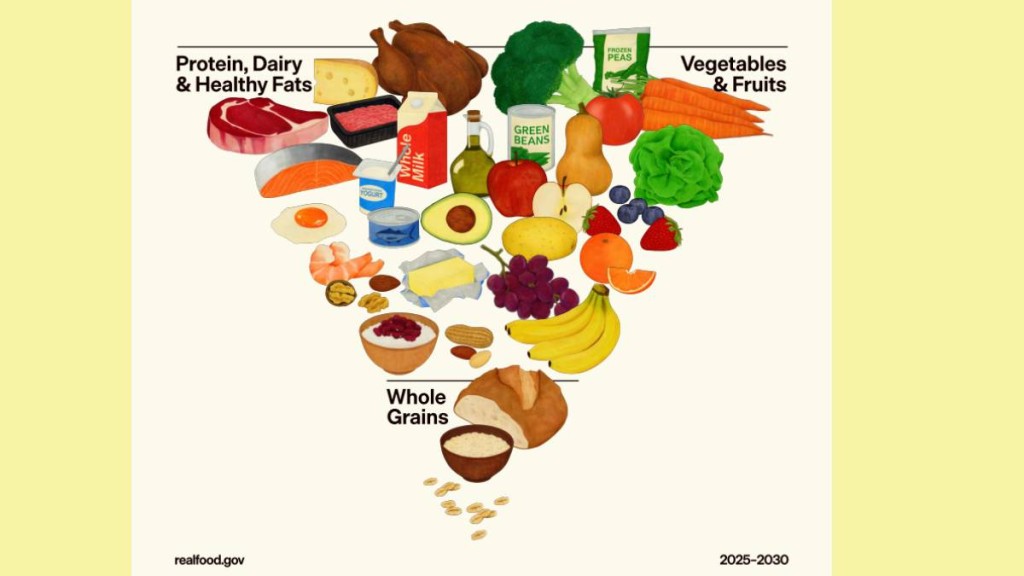 美新版倒金字塔饮食指南。realfood.gov