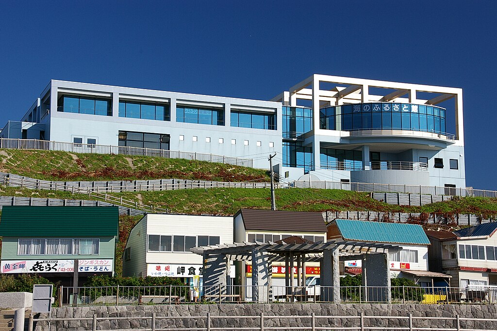北海道留萌市有房客把充電器放入雪櫃降溫，險釀火警。維基網站