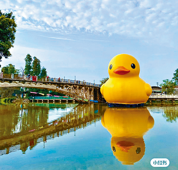 「大黄鸭」于中山狮滘河展出。