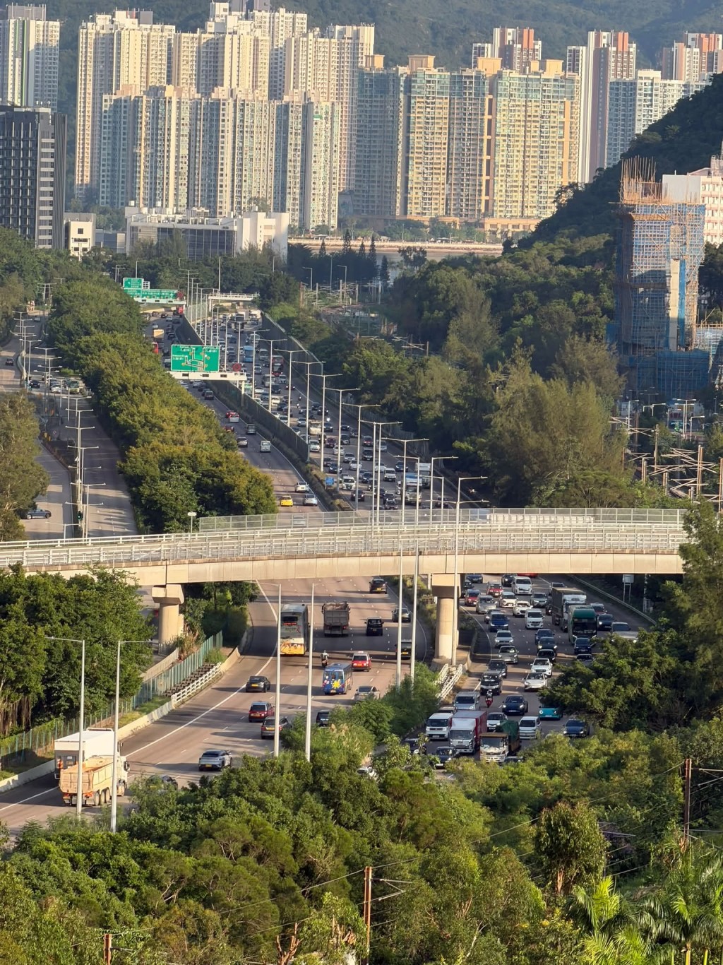 吐露港公路往大埔出現數公里車龍。網上圖片 吐露港公路往大埔出現數公里車龍。網上圖片