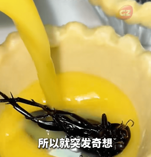 龍蝨（又稱水曱甴）屬廣東著名特色傳統昆蟲美食，被譽為「水中人蔘」。廣州廣播電視台